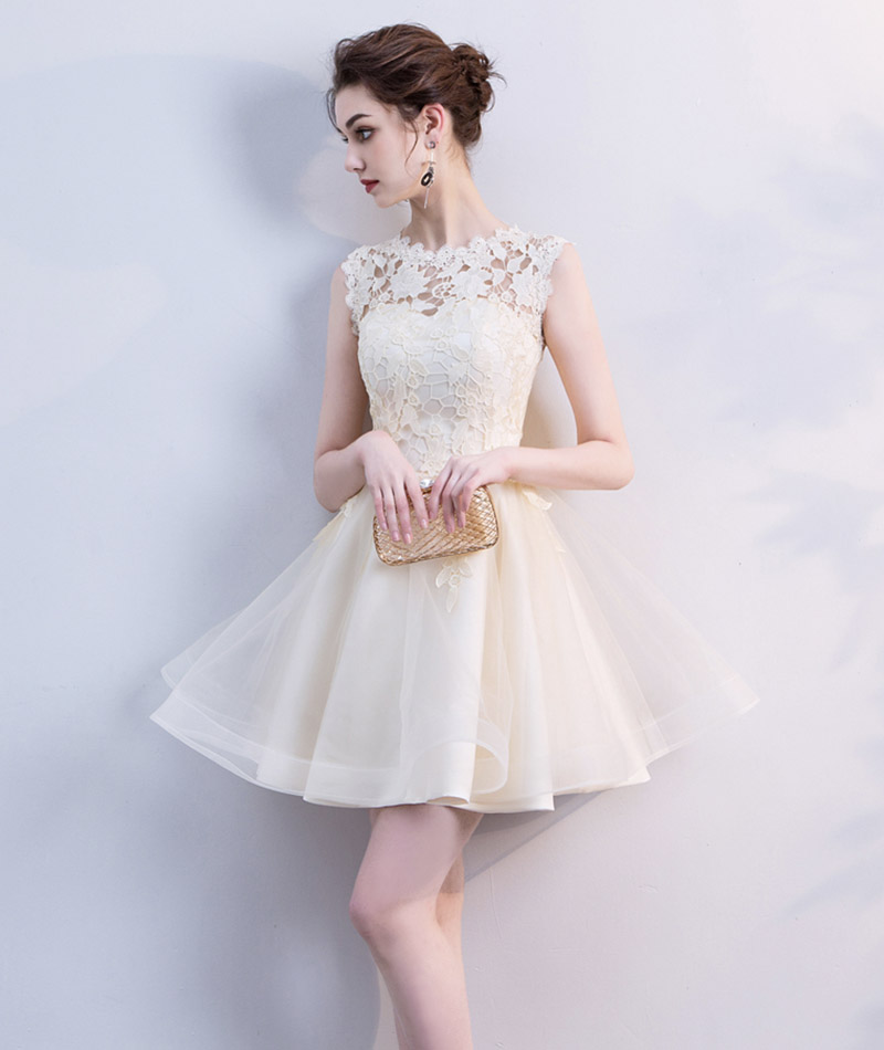 Champagne Lace Tulle Short Prom Dress Homecoming Dress